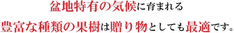 盆地特有の気候に育まれる豊富な種類の果樹は贈り物としても最適です。